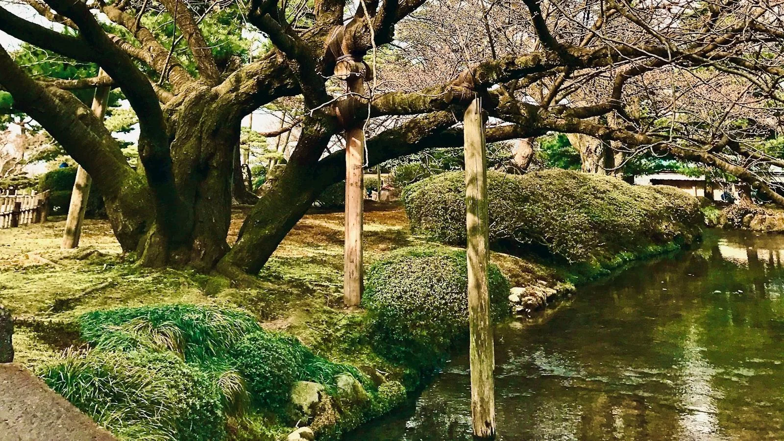 Entrenamiento de Personal para el Cuidado Especializado en Insuficiencia Cardíaca