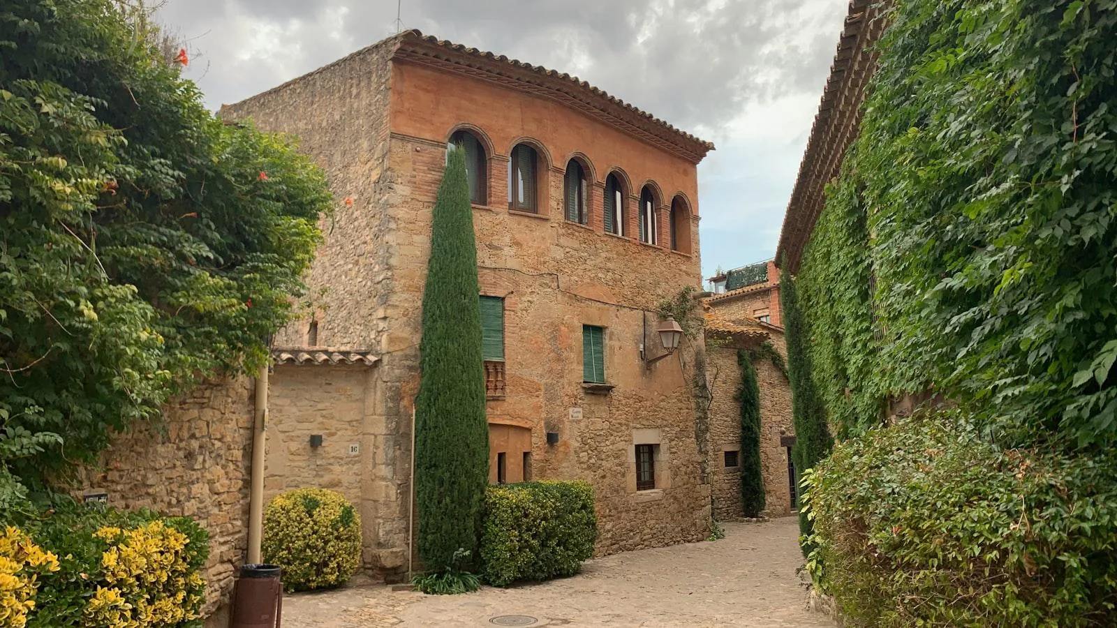 El Rol de la Medicina Alternativa en el Tratamiento de la Insuficiencia Cardíaca