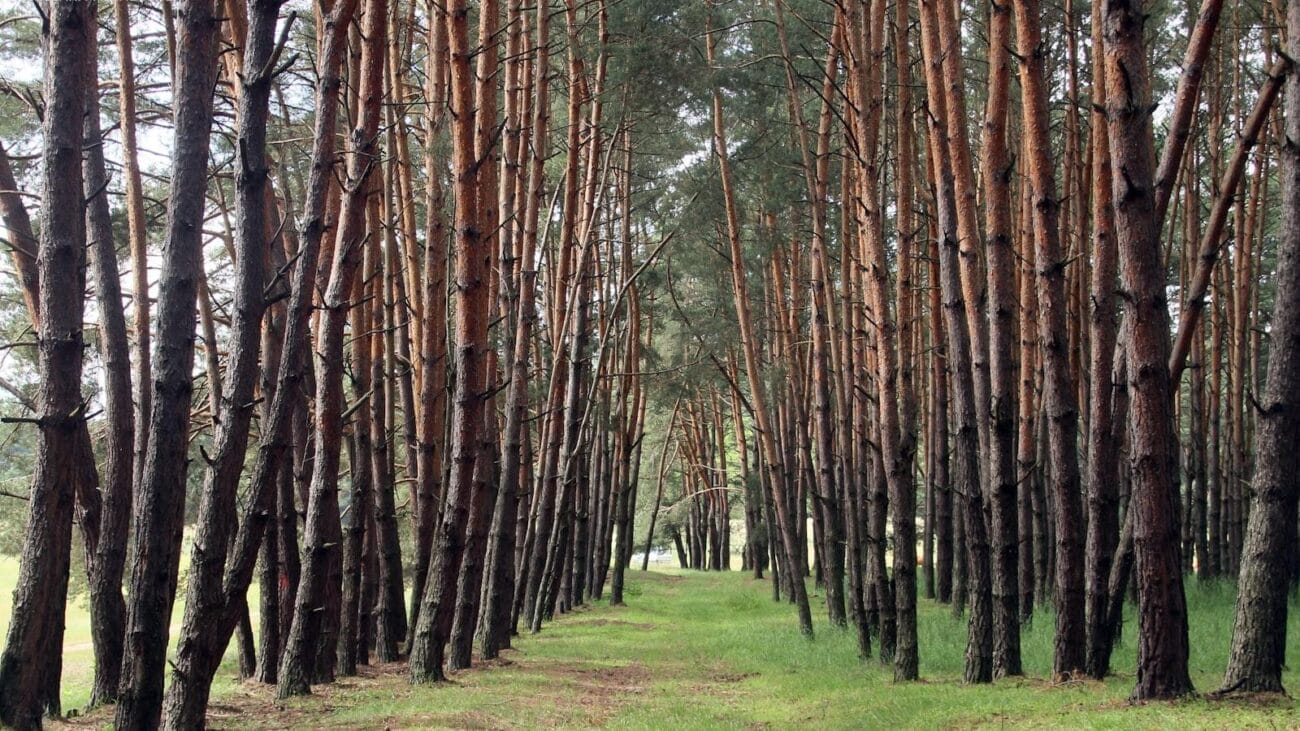 Cómo los Hogares Geriátricos Pueden Mejorar la Autonomía de Ancianos con Insuficiencia Cardíaca