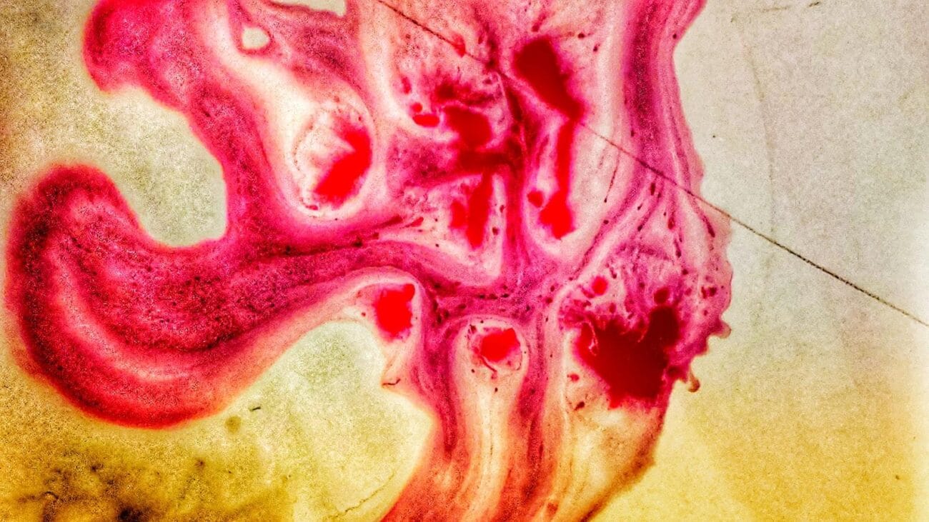 El Papel de los Cuidadores en la Mejora de la Salud Cardíaca de los Ancianos