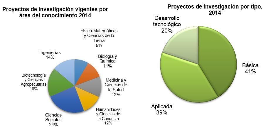 Investigación: El Impacto del Apoyo Familiar en Ancianos con Insuficiencia Cardíaca