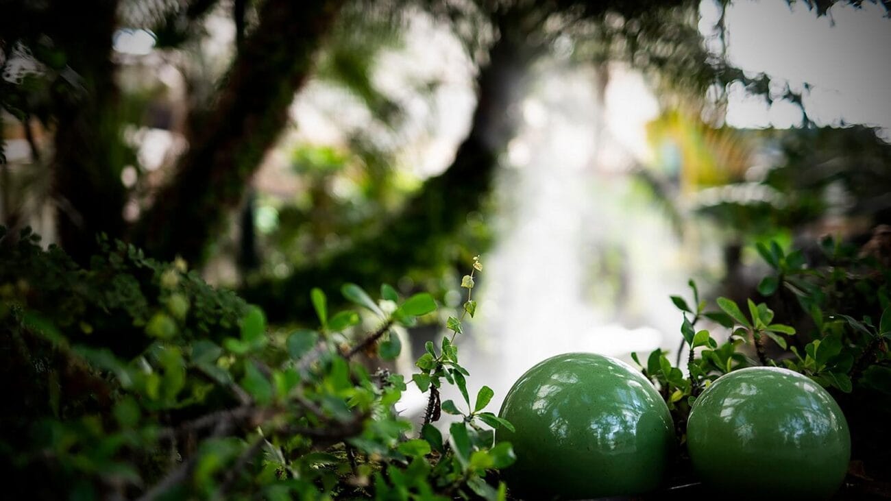 Datos Impactantes sobre la Insuficiencia Cardíaca en Ancianos de Medellín