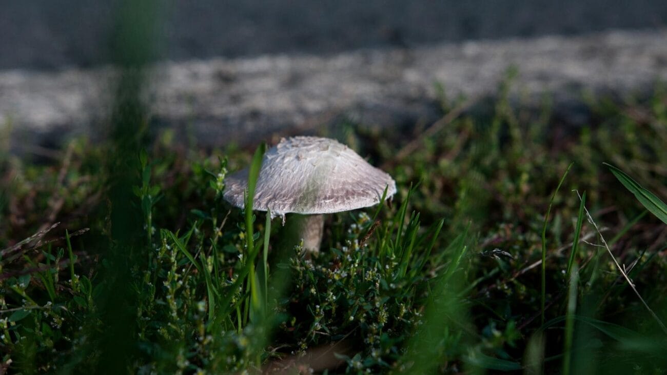 Expertos sugieren: Dietas y nutrición para ancianos con EPOC en Medellín.