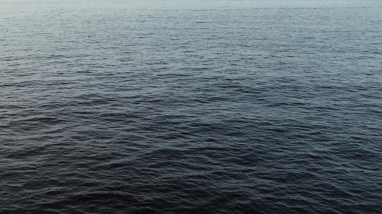 Entrevistas con Especialistas: Innovaciones en Cuidado Cardíaco para Ancianos