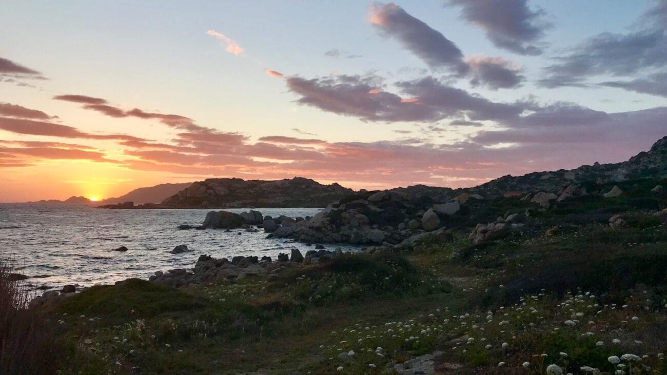 Herramientas de Monitoreo Remoto para Ancianos con Insuficiencia Cardíaca