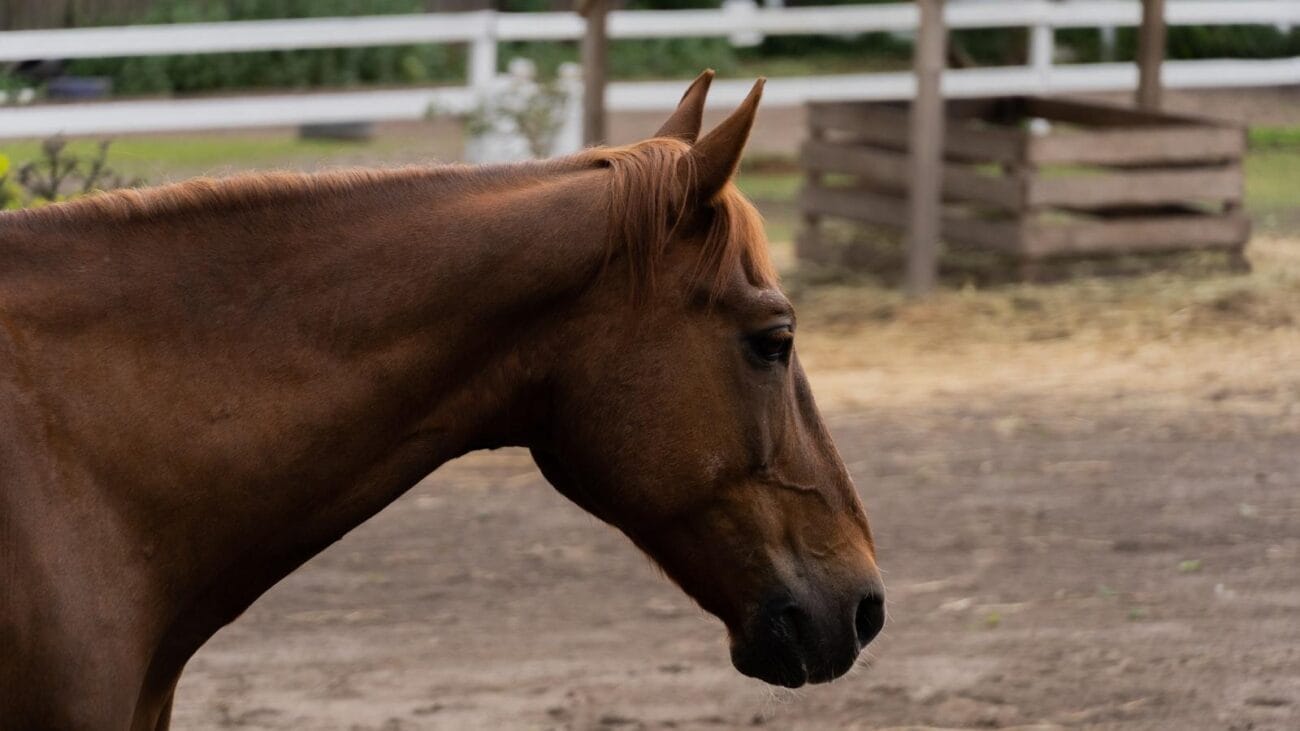 Estrategias de comunicación efectiva entre pacientes con EPOC y cuidadores.
