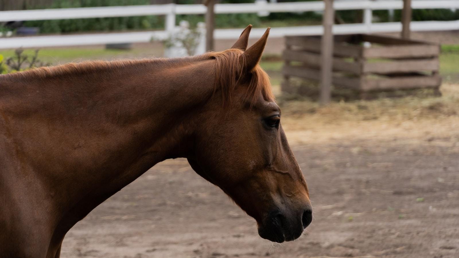 Estrategias de comunicación efectiva entre pacientes con EPOC y cuidadores.