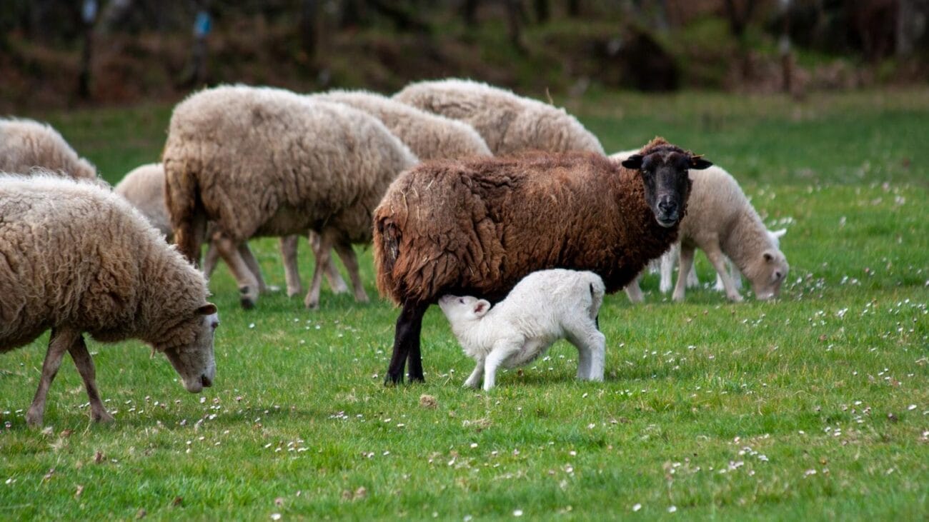 Expertos sugieren: Técnicas de relajación para pacientes con EPOC.