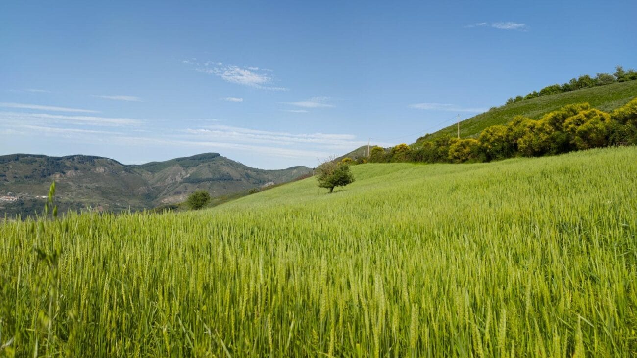 Cómo organizar actividades recreativas para pacientes con EPOC en residencias.