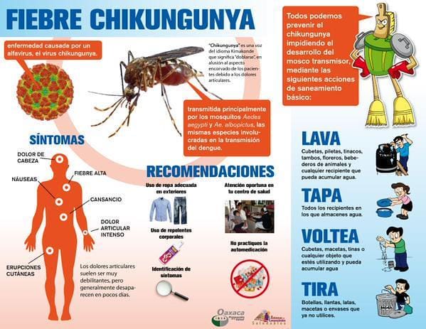 Síntomas del asma causados por la mala calidad del aire interior