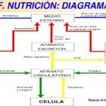 Preparativos para la temporada de polen en pacientes con EPOC en Medellín.
