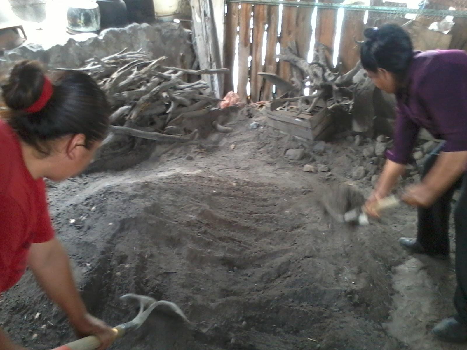 La importancia de la continuidad del cuidado para pacientes con EPOC en Medellín.