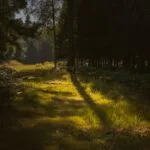 Entrevista con fisioterapeutas sobre ejercicios para pacientes con asma.