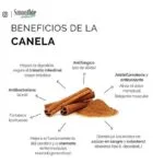 Manual para la realización de actividades físicas seguras para asmáticos en hogares geriátricos.