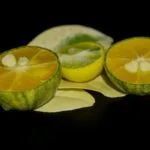 Entrevista con expertos sobre el uso de corticosteroides inhalados en el asma geriátrico.