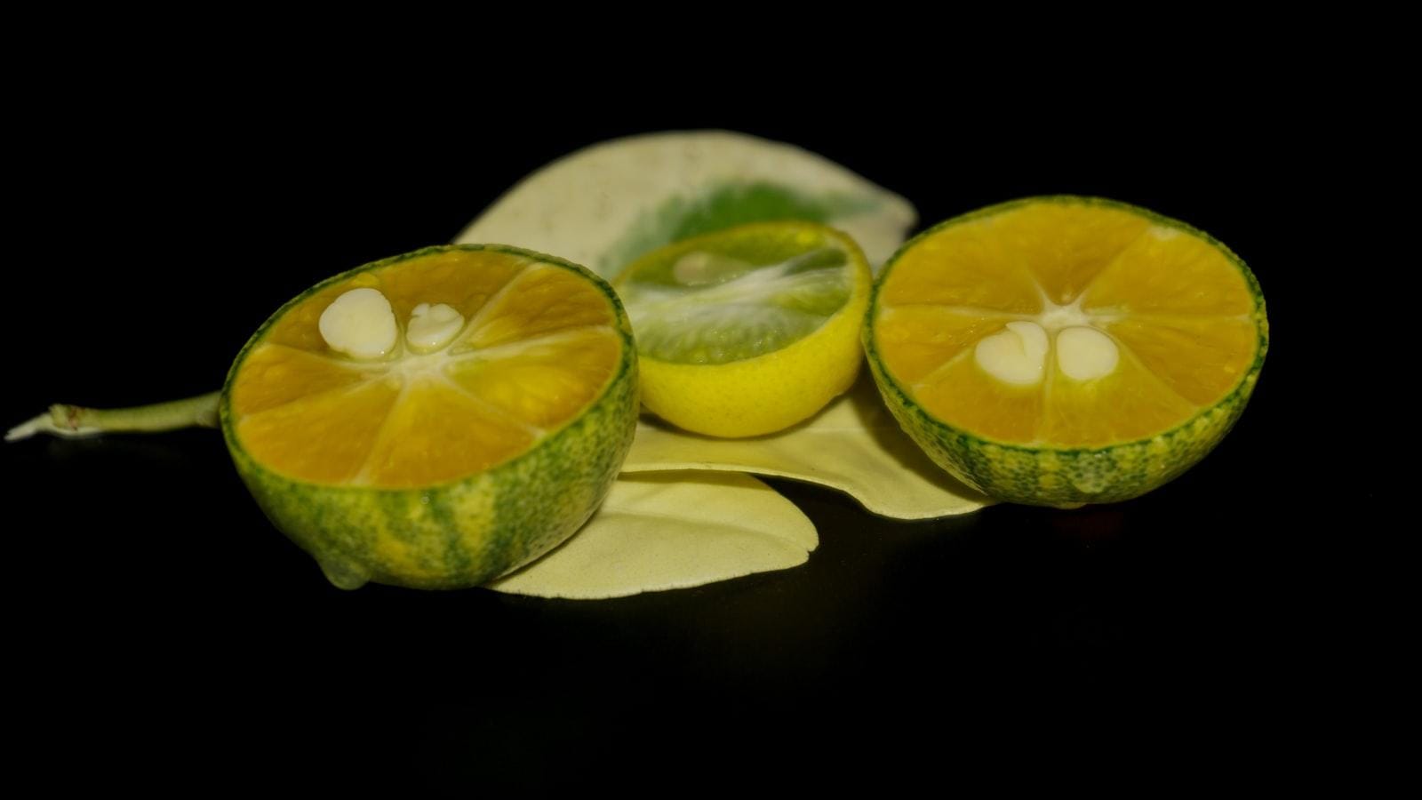 Entrevista con expertos sobre el uso de corticosteroides inhalados en el asma geriátrico.