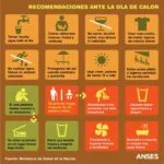 Preguntas y respuestas sobre adaptaciones en el estilo de vida para el asma en ancianos.