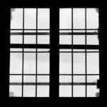 Últimas investigaciones sobre el papel de la genética en el asma en la tercera edad.