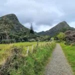 Expertos sugieren: Mejoras en la ventilación de espacios para ancianos con asma.