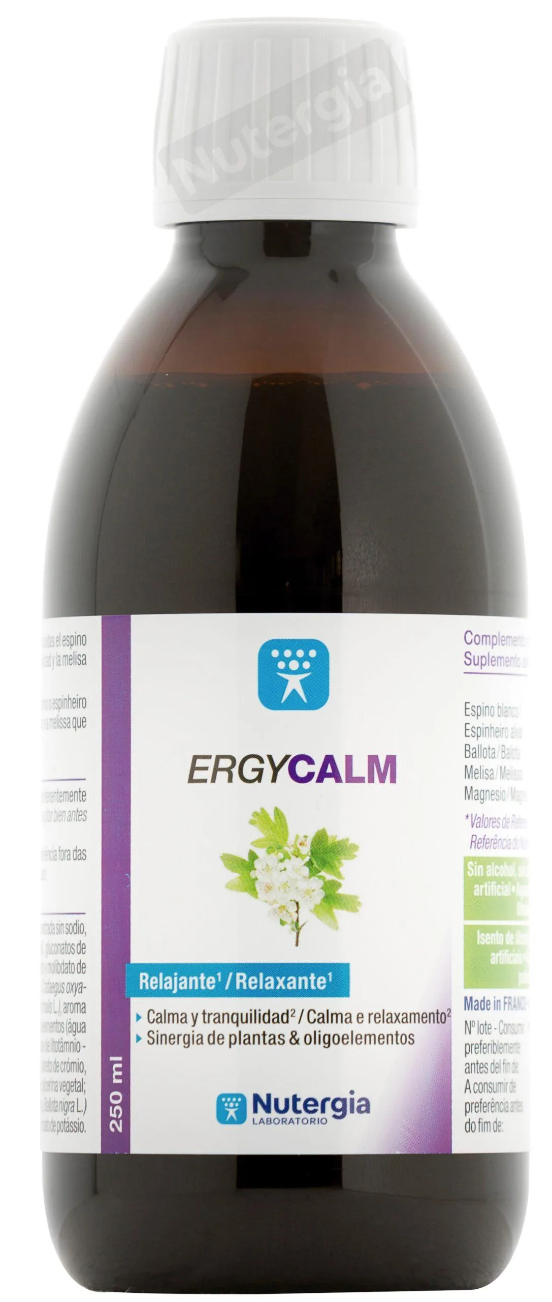 Reseña de terapias complementarias para el tratamiento del asma en la tercera edad.