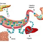 Entrevista con expertos en terapias inhaladas: Nuevas perspectivas para el asma.