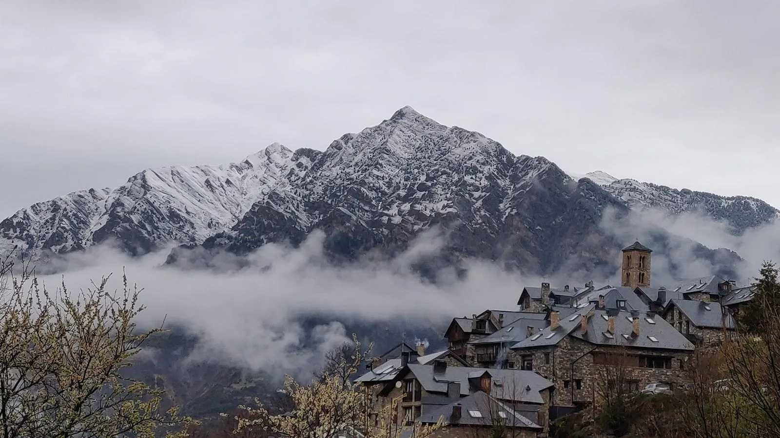 Tutorial sobre el manejo de la insulina en adultos mayores con diabetes tipo 1.