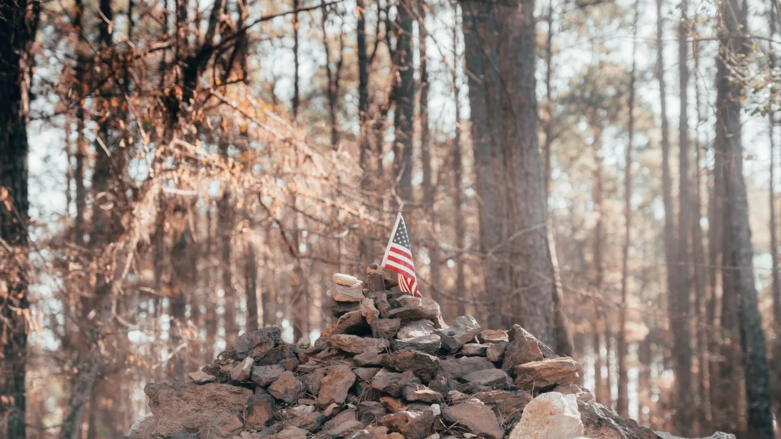 Entrevista a cuidadores especializados en diabetes: Técnicas y consejos.