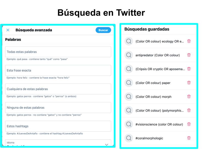 Beneficios de incorporar grasas saludables en la alimentación de adultos mayores