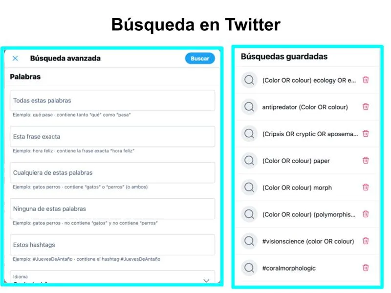 Preparación anticipada para las festividades