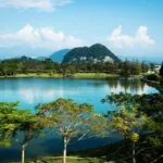 Estadísticas sobre el manejo exitoso de la diabetes tipo 1 en hogares geriátricos.