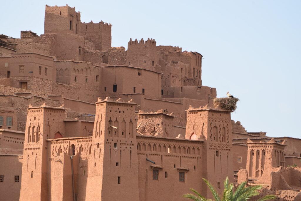 Experiencias Únicas de Socialización y Comunidad ​en Las Lomas Nº 2