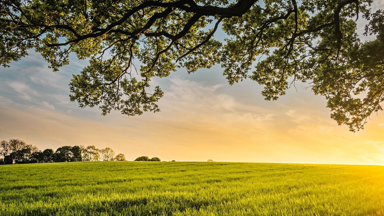 Preguntas y respuestas sobre ejercicios seguros para ancianos con diabetes.