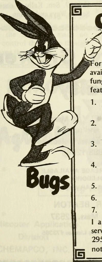 - Rol crucial‌ de los⁤ cuidadores en⁣ el⁣ cuidado ⁢de adultos mayores