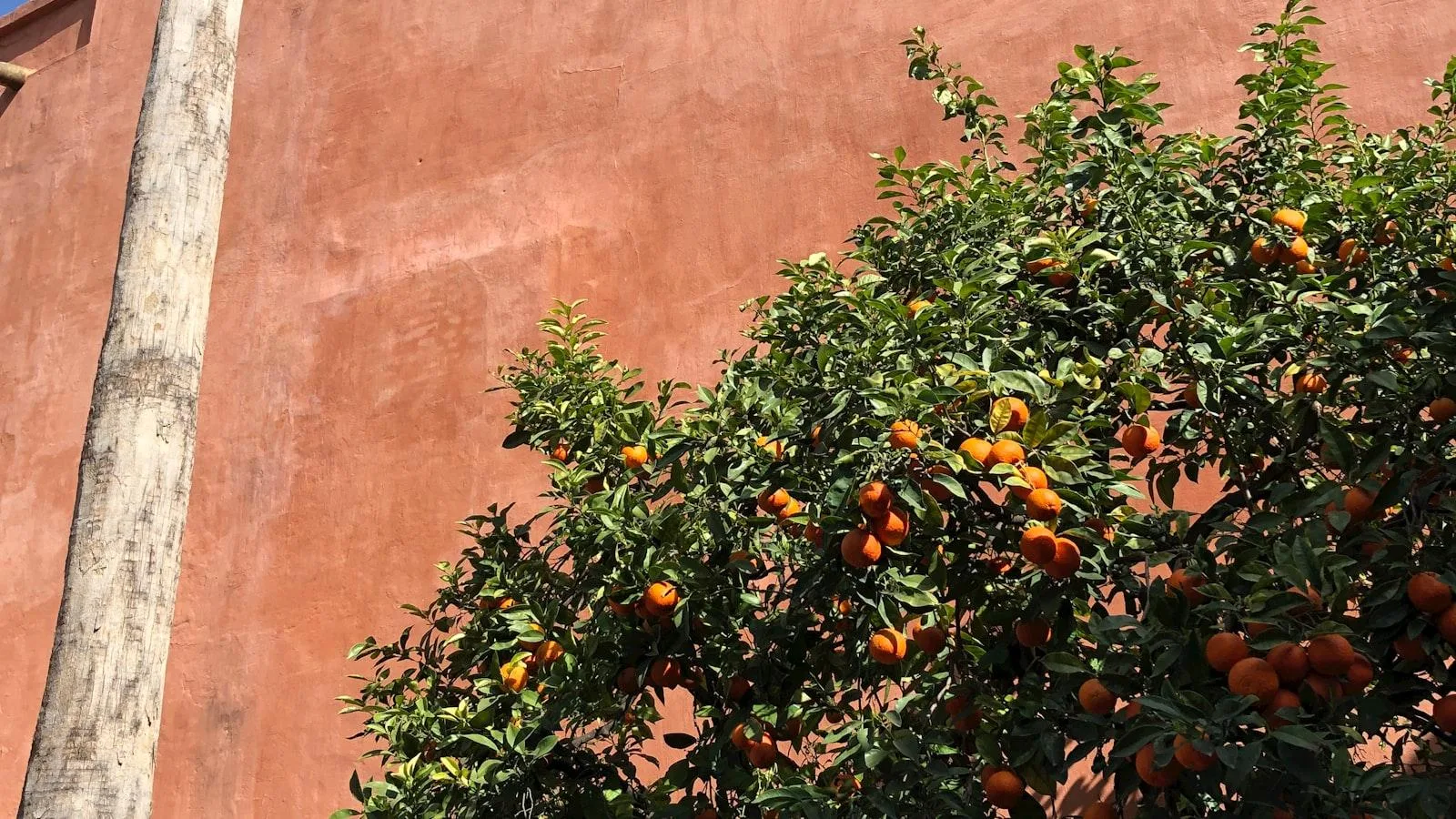 Explorando la Serenidad en Medellín: Lalinde, Donde Cada Rincón es un Suspiro de Bienestar