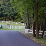 Reseña de las mejores prácticas para la administración de insulina en la tercera edad.