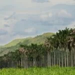 Consejos para el cuidado de la salud bucal en diabéticos ancianos.