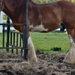 Datos sobre el impacto de la terapia de relajación en los niveles de glucosa en sangre.