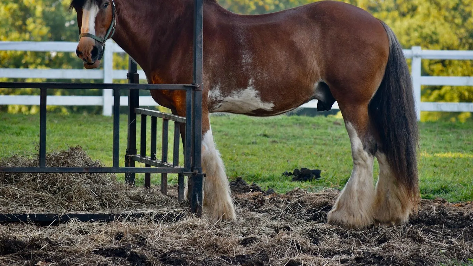 Datos sobre el impacto de la terapia de relajación en los niveles de glucosa en sangre.