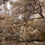 Estrategias para promover la autonomía en el manejo de la diabetes en la tercera edad.