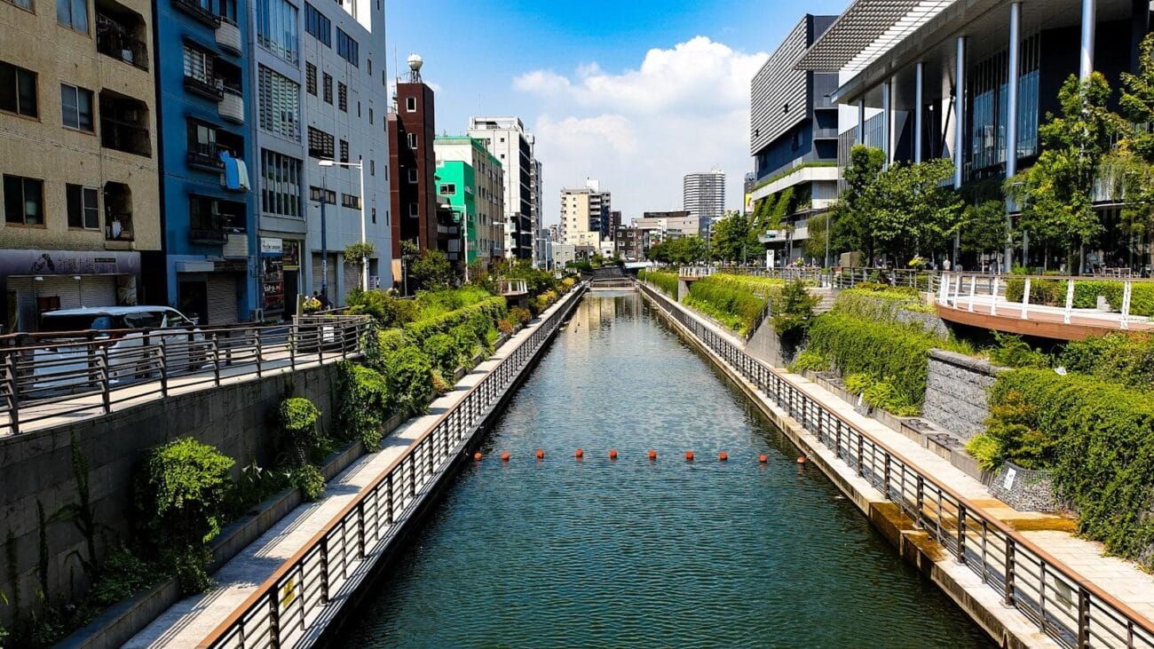 En Medellín, la ciudad de las flores, Hogares Geriátricos florecen como oasis de bienestar y atención amorosa para nuestros mayores, creando un ambiente donde cada residente se siente parte de un lugar lleno de amor.