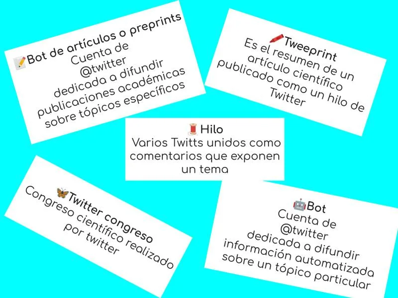 Recomendaciones nutricionales específicas para pacientes con asma geriátrico