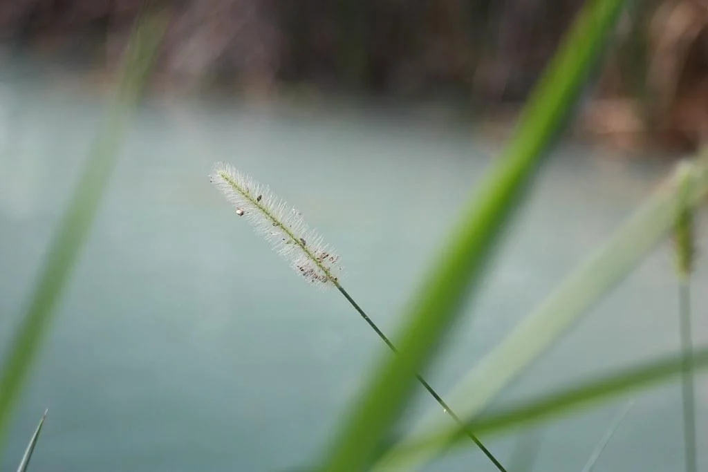 Descubriendo la importancia de cuidar ⁣nuestra salud en ⁤la ⁤tercera⁤ edad