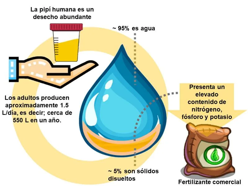 Los beneficios físicos de la terapia ocupacional en ancianos con insuficiencia cardíaca