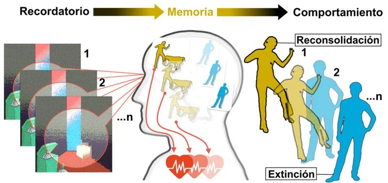 Beneficios de un enfoque multidisciplinario en el cuidado del asma