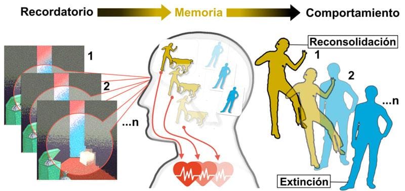 Consecuencias negativas del estrés crónico en la salud glucémica de los adultos mayores