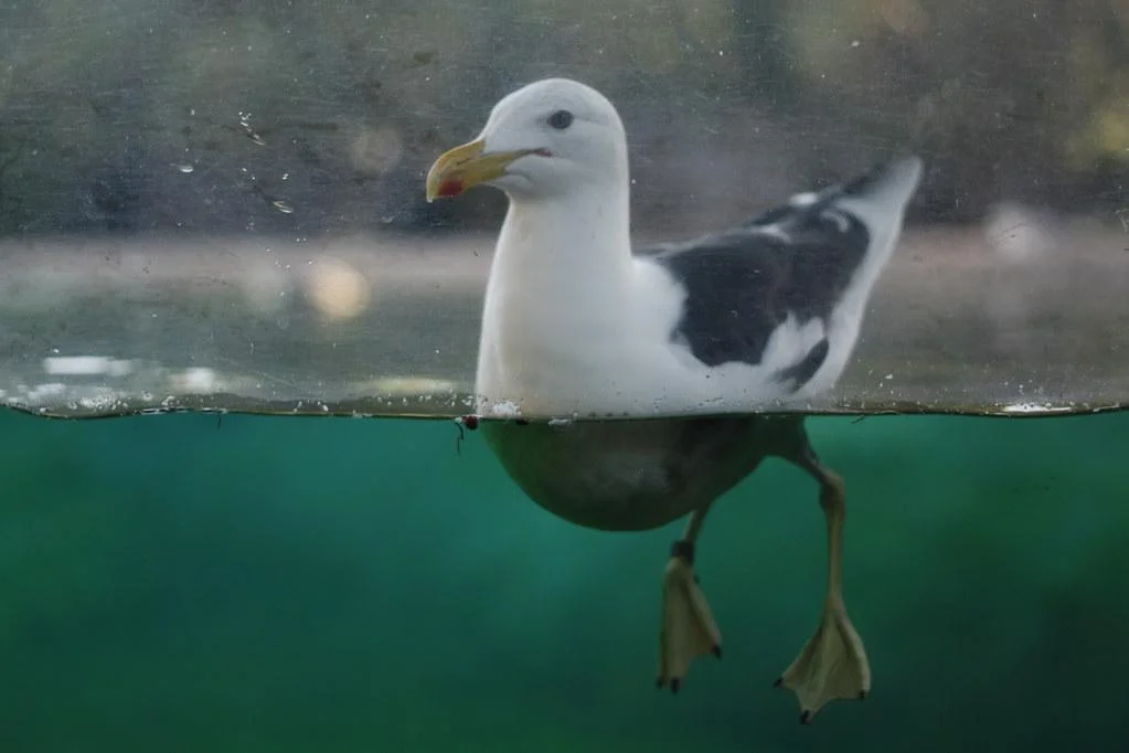 Aprovecha al máximo cada día en‌ este‍ paraíso para jubilados
