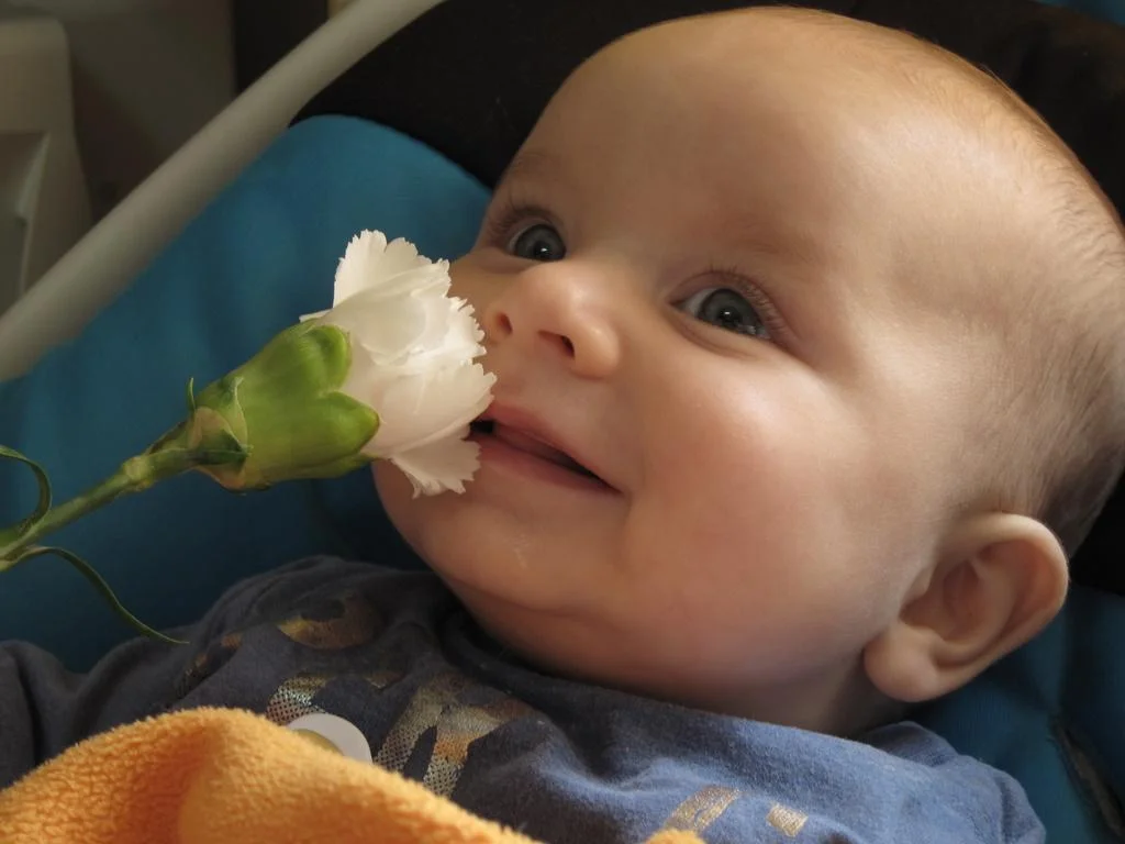 Descubriendo⁤ un ⁤nuevo enfoque en el cuidado de los adultos mayores