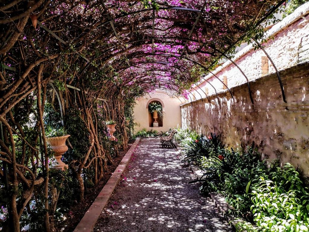 Recomendaciones para crear y‍ mantener un jardín terapéutico exitoso