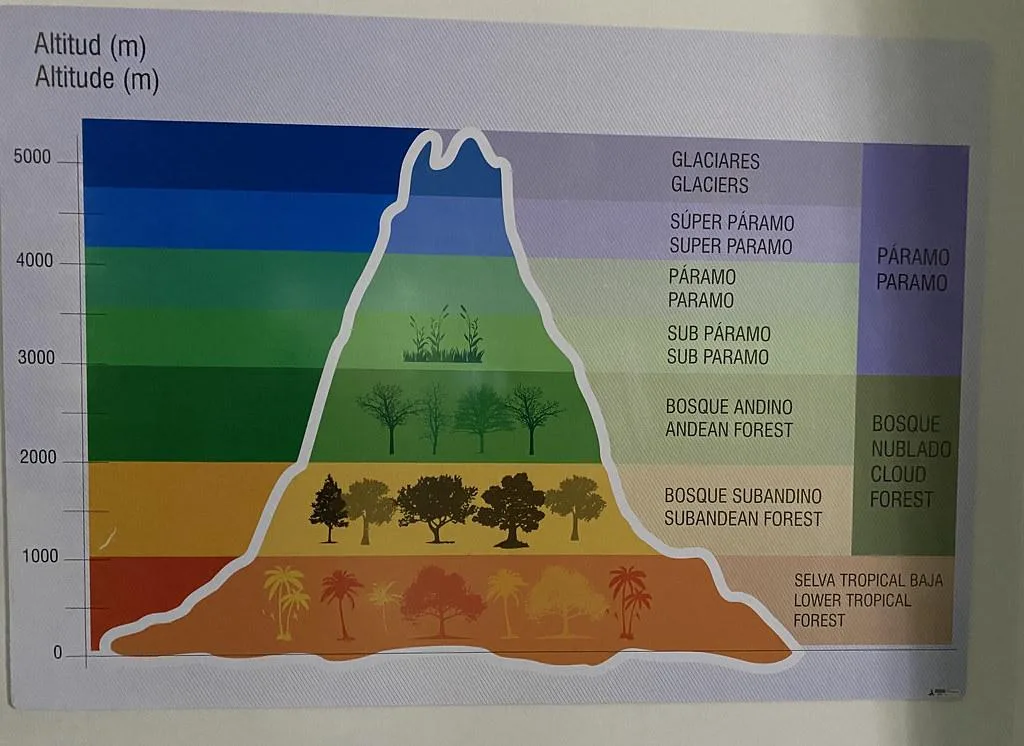 Cómo afecta la altitud de Medellín a los​ pacientes con‌ insuficiencia ⁢cardíaca
