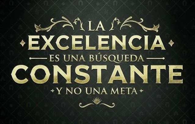 La excelencia en el cuidado físico y emocional a través del baile flamenco